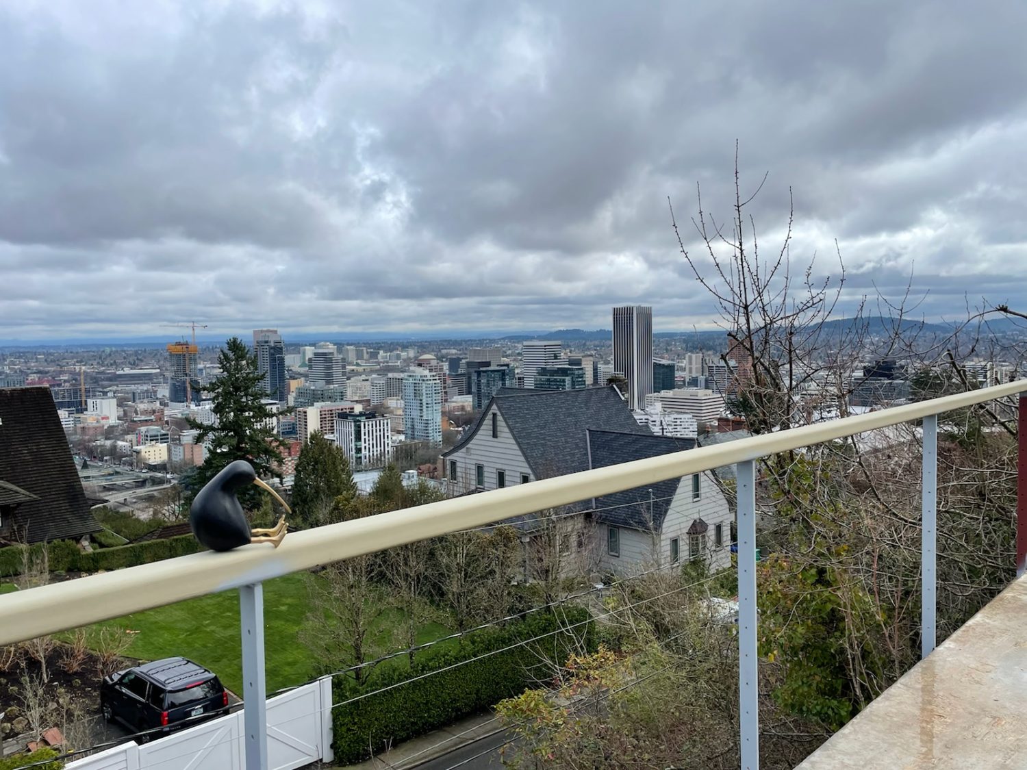 view of portland from the hill with a new zealand kiwi bird